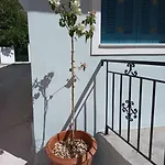 Bella Apartament *